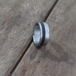 ring 1b