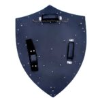 link dark hylian shield from video game 1