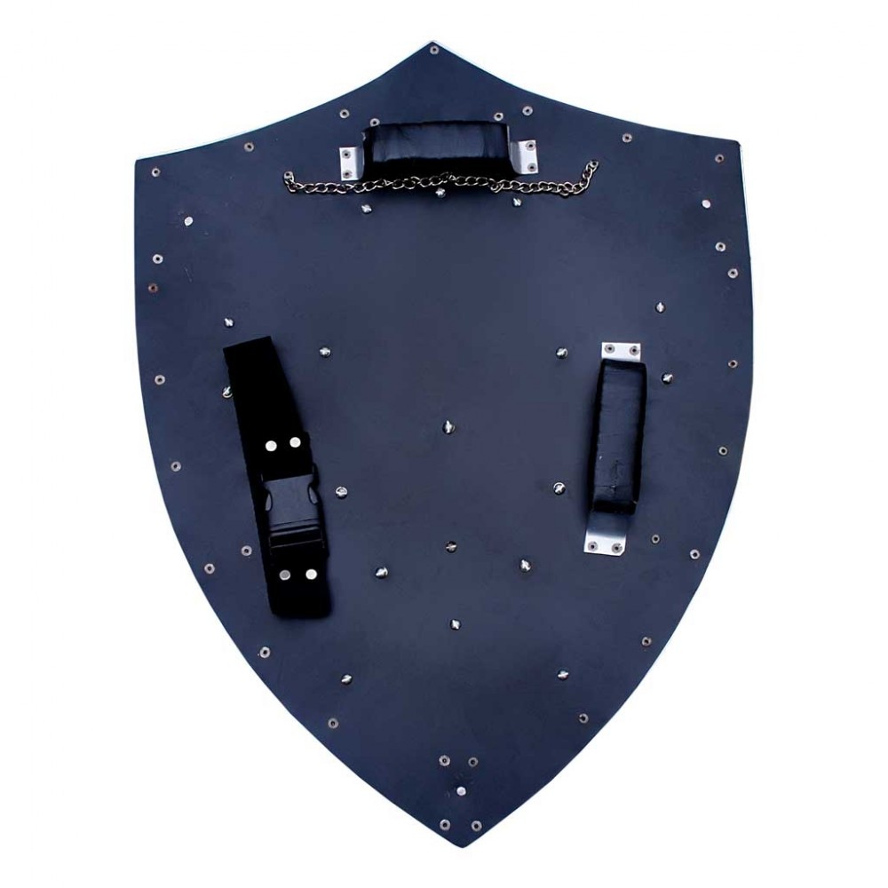 link dark hylian shield from video game 1